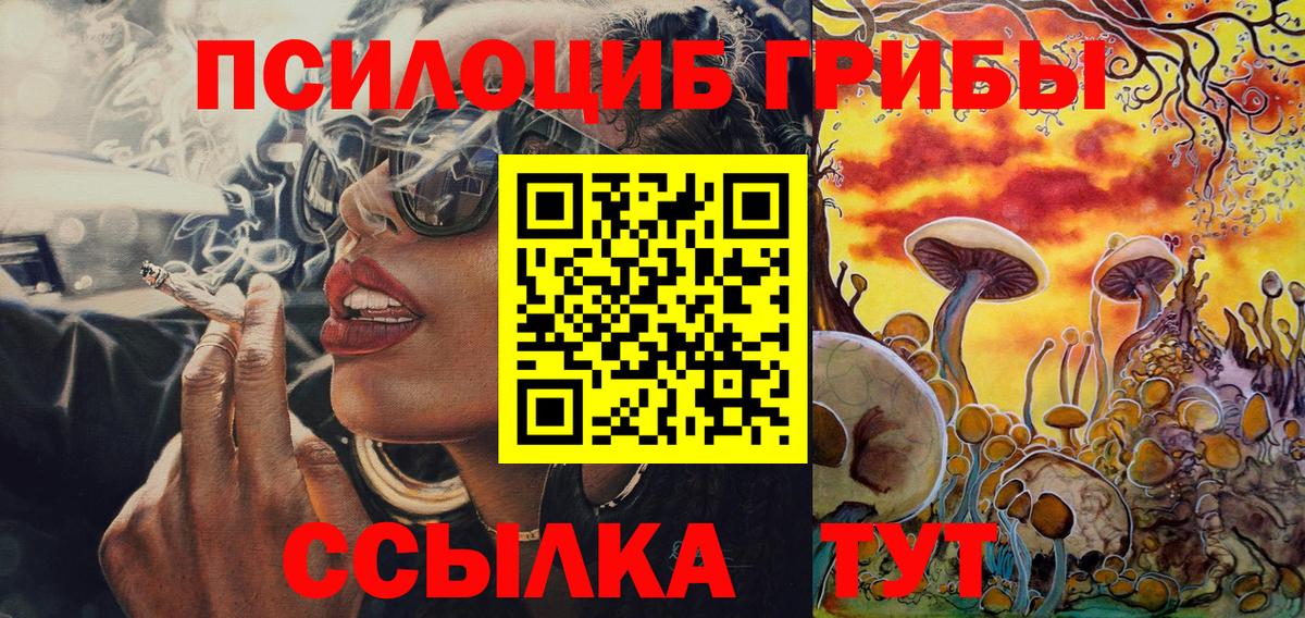 Галлюциногенные грибы мицелий  Вход с VPN  купить закладку  Волгодонск 