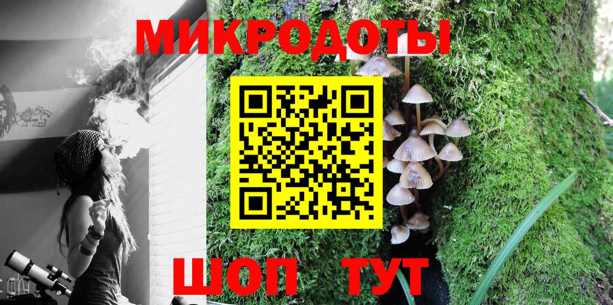 Псилоцибиновые грибы Psilocybe Волгодонск